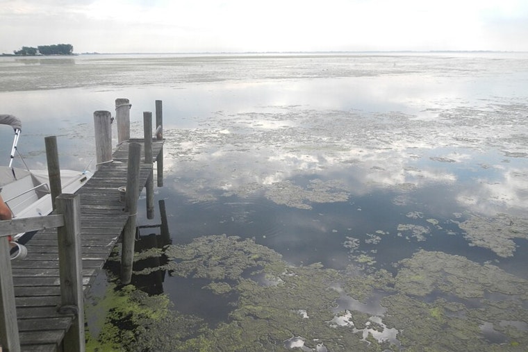 Reeking Lake St. Clair Muck Finally Faces Cleanup In Macomb’s Three-Year Test