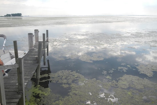 Reeking Lake St. Clair Muck Finally Faces Cleanup In Macomb’s Three-Year Test
