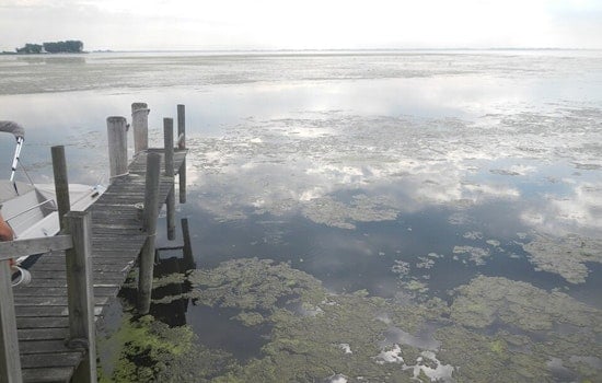 Reeking Lake St. Clair Muck Finally Faces Cleanup In Macomb’s Three-Year Test