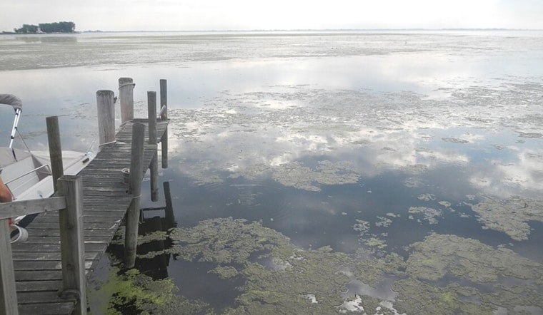 Reeking Lake St. Clair Muck Finally Faces Cleanup In Macomb’s Three-Year Test