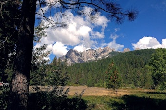 Remote Mount Shasta Hostage Ordeal Near Gumboot Lake Ends In Midnight Surrender