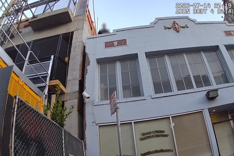 Reno Man Nabbed After Grisly Kitten Killing in SF ATM Vestibule