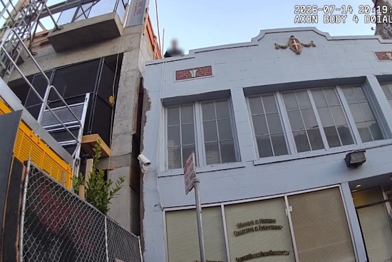 Reno Man Nabbed After Grisly Kitten Killing in SF ATM Vestibule
