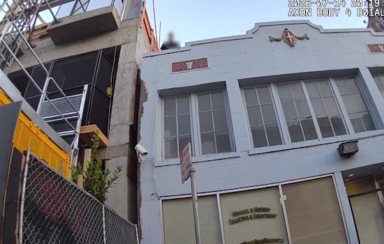Reno Man Nabbed After Grisly Kitten Killing in SF ATM Vestibule