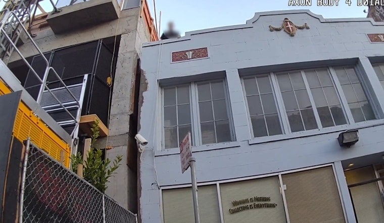 Reno Man Nabbed After Grisly Kitten Killing in SF ATM Vestibule