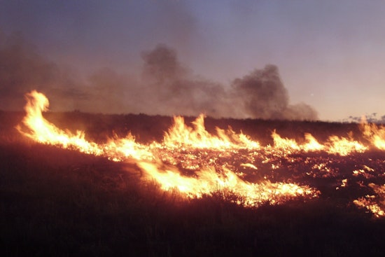 Ridge Manor Wildfire Scorches 10 Acres As Crews Race To Contain Flames