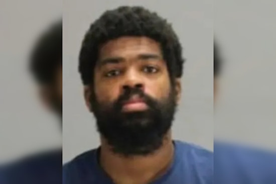 Riverdale K9 Runs Down Fugitive In DeKalb Sex Case Bust