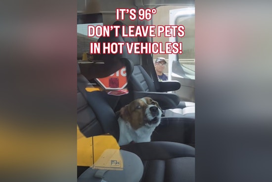 Riverfront RV Scare As St. Louis Firefighters Save Locked-In Dog