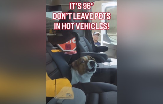 Riverfront RV Scare As St. Louis Firefighters Save Locked-In Dog