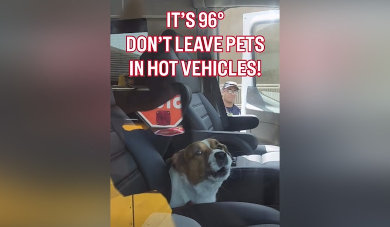 Riverfront RV Scare As St. Louis Firefighters Save Locked-In Dog