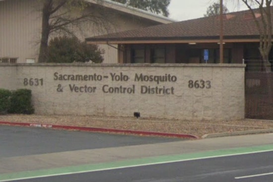 Rosemont Braces For Weekly Swarms Of Sterile Mosquitoes