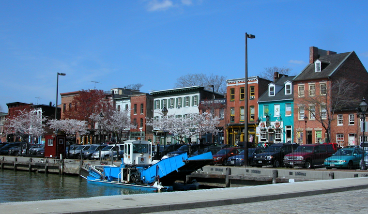 Rotten Stench In Fells Point As Heat Leaves Harbor Choked With Dead Fish