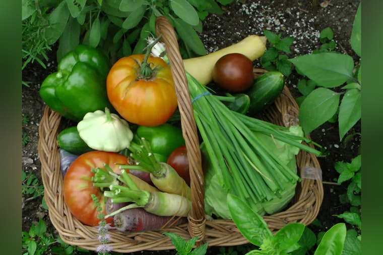 Sacramento Scrambles To Revive CalFresh Veggie Perk With $20 Million Lifeline