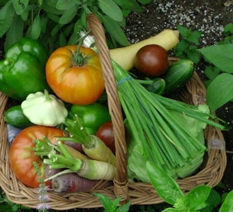 Sacramento Scrambles To Revive CalFresh Veggie Perk With $20 Million Lifeline