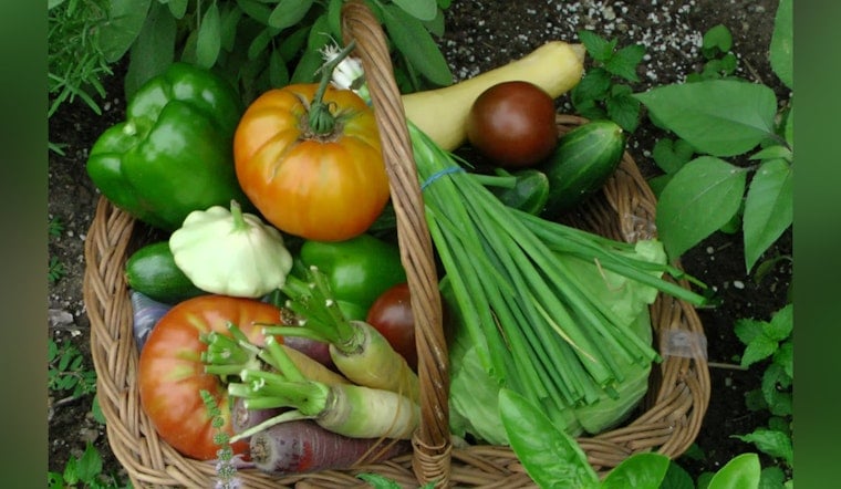Sacramento Scrambles To Revive CalFresh Veggie Perk With $20 Million Lifeline