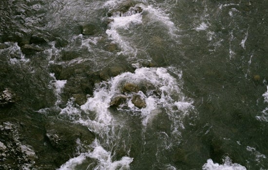 San Antonio River Rises Toward Floresville, Poised To Swamp Park And Back Roads