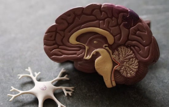 San Antonio Sleep Study Flags Long Nights As Possible Alzheimer Clue