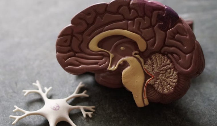 San Antonio Sleep Study Flags Long Nights As Possible Alzheimer Clue