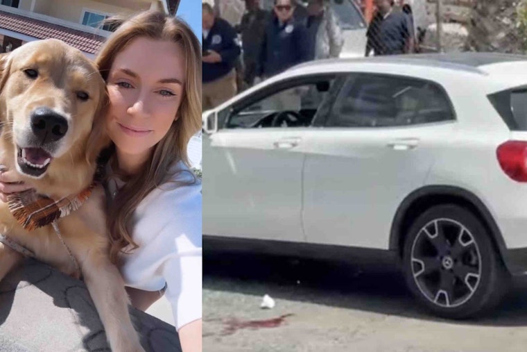 San Diego Life Coach Gunned Down in Border Carjacking Horror as Loyal Dog Stays Put