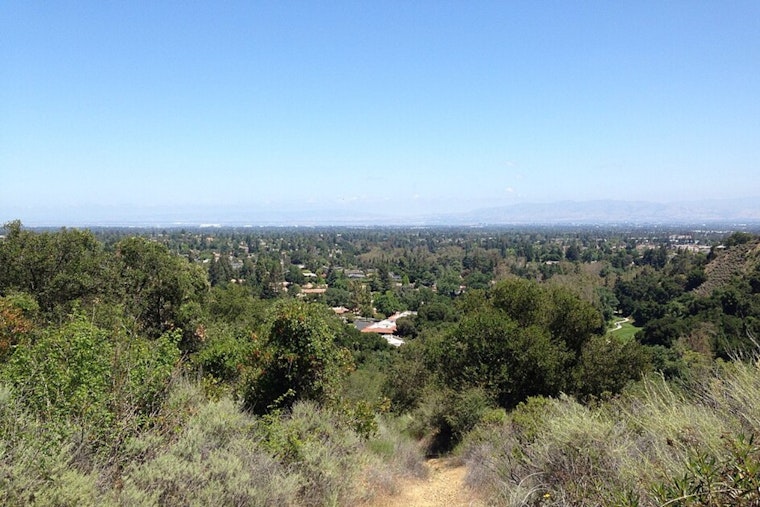 San Jose Fog Fades As Easygoing Warmup Rolls In