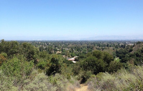 San Jose Fog Fades As Easygoing Warmup Rolls In