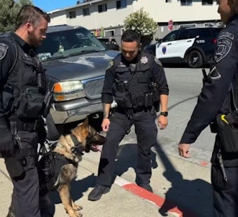 San Mateo Cops Lock Down Complex, Nab Assault Suspect With Drone And K-9
