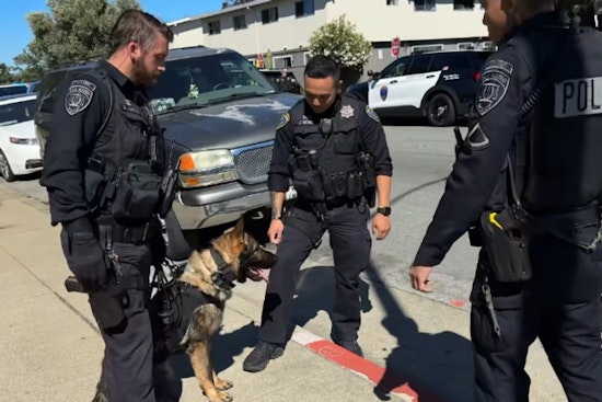 San Mateo Cops Lock Down Complex, Nab Assault Suspect With Drone And K-9