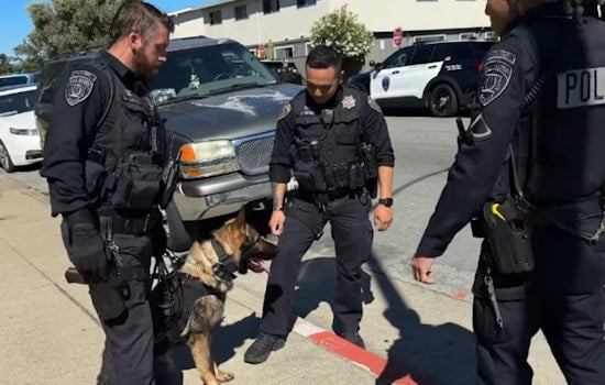San Mateo Cops Lock Down Complex, Nab Assault Suspect With Drone And K-9