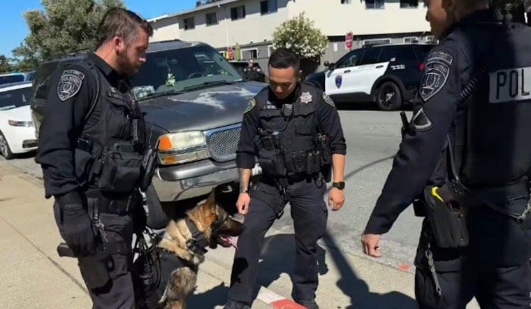 San Mateo Cops Lock Down Complex, Nab Assault Suspect With Drone And K-9