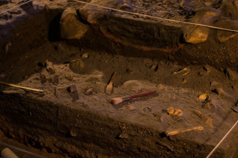 Santa Rosa Island Bones Shake Up Story Of California’s First People
