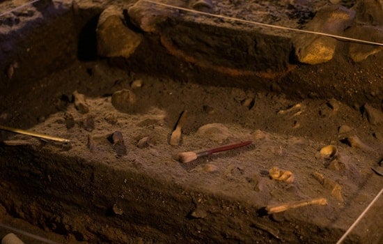Santa Rosa Island Bones Shake Up Story Of California’s First People