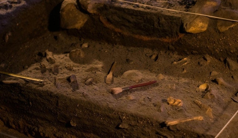 Santa Rosa Island Bones Shake Up Story Of California’s First People