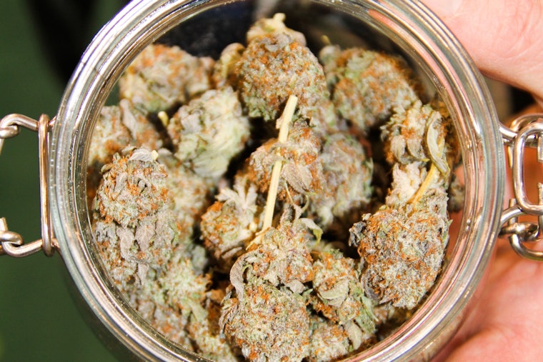 Schumer, Booker Spark D.C. Showdown Over Federal Pot Ban