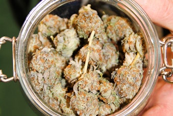 Schumer, Booker Spark D.C. Showdown Over Federal Pot Ban