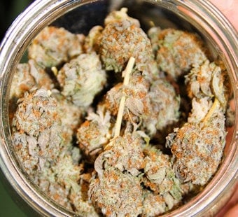 Schumer, Booker Spark D.C. Showdown Over Federal Pot Ban