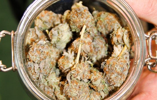 Schumer, Booker Spark D.C. Showdown Over Federal Pot Ban
