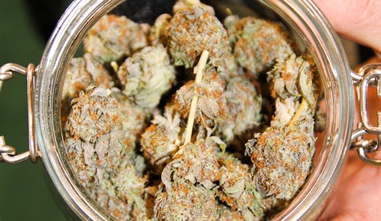 Schumer, Booker Spark D.C. Showdown Over Federal Pot Ban