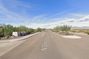 Scottsdale Desert 'Rainforest' Finally Sprouting After Years of Hype