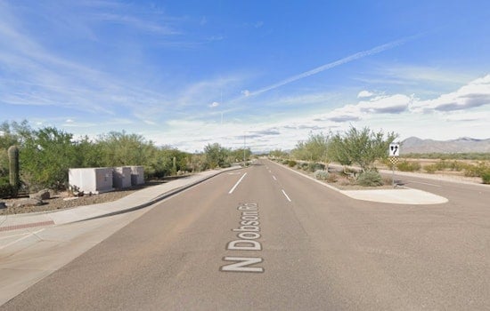 Scottsdale Desert 'Rainforest' Finally Sprouting After Years of Hype