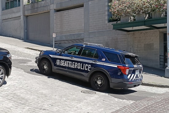 Seattle Police Chief Shon Barnes Out After Bite Shooting Fallout