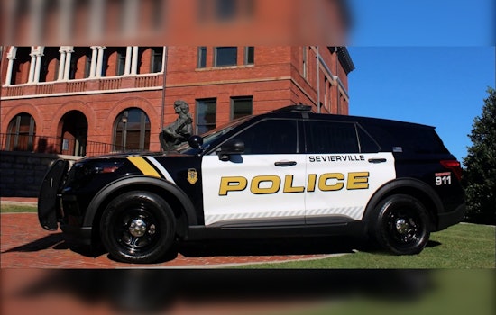 Sevierville woman arrested after police chase