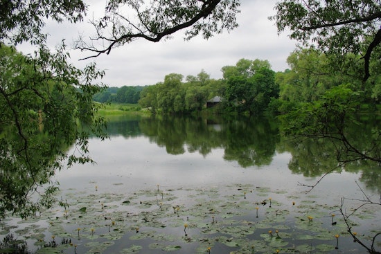 Shady Point Child Drowns In Secluded LeFlore County Pond