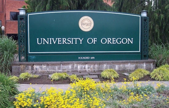 Silicon Forest On The Brink As State Report Sounds Alarm On Oregon Chips