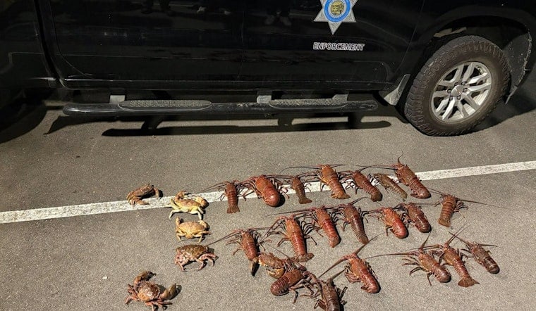 Six Busted in Santa Monica Pier Lobster Poaching Sting With Baby Stroller Stash