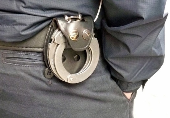 Six Men Charged in Aurora, South Elgin Brothel Bust
