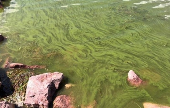 Slimy Scare Shuts Down Boulder Reservoir Swim Beach