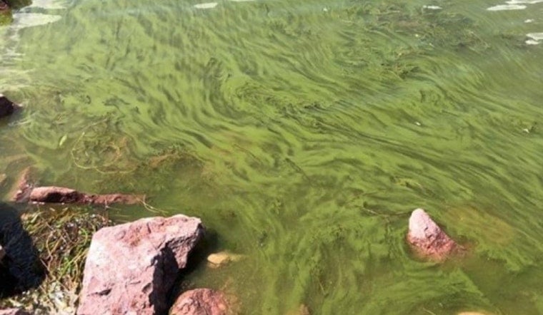 Slimy Scare Shuts Down Boulder Reservoir Swim Beach
