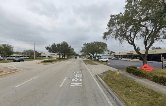 Sloth Showdown In Margate As City Slams Brakes On Strip Mall Encounter Plan