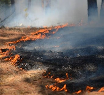Smoky Makaha Brush Fire Near Keaau Beach Park Triggers Night Alarm