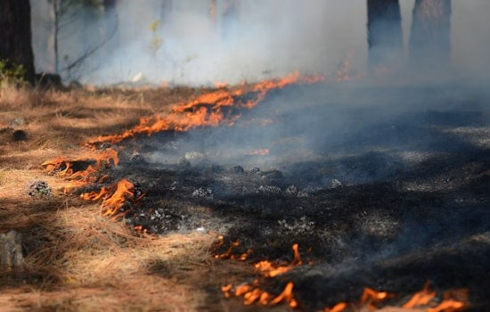 Smoky Makaha Brush Fire Near Keaau Beach Park Triggers Night Alarm